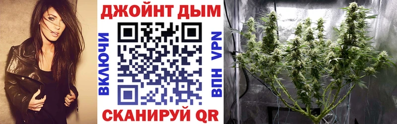 где можно купить наркотик  Дегтярск  Конопля семена 